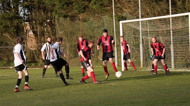 特蒙德在转 特蒙德在转