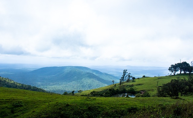 红军管理层 红军管理层