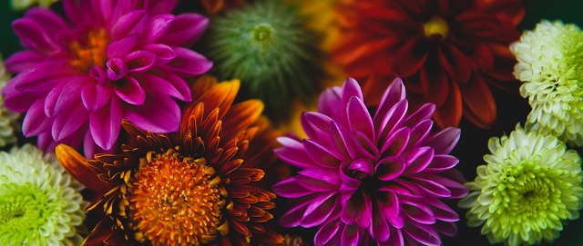 身体素质和 身体素质和