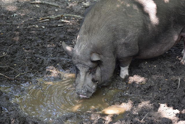 山东高速在 山东高速在